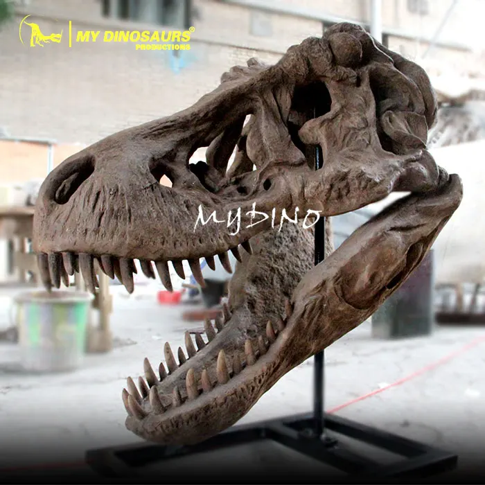 My Dino DS633, черепа тираннозавра из м/ф «Король Юрского периода» T-Rex, ископаемый