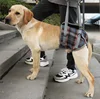Patas traseras - Azul