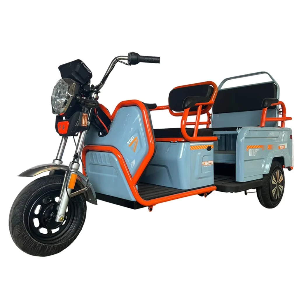 チャン・リー3輪バイクモバイルバイク商用電動三輪車大人用モト