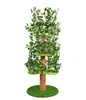 Verde#C