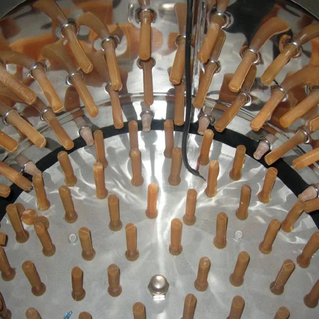 Quick broiler machine dehairing feathered chicken