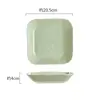 8-inch Hand-held Square Plate - Milk Green