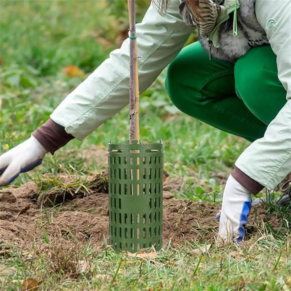 2 Protezioni Per Tronco Invernali - Baumrolle 18m - Tessuto Non Tessuto Antigelo E Antiscottatura Per Piante E Alberi Da Frutto - 3