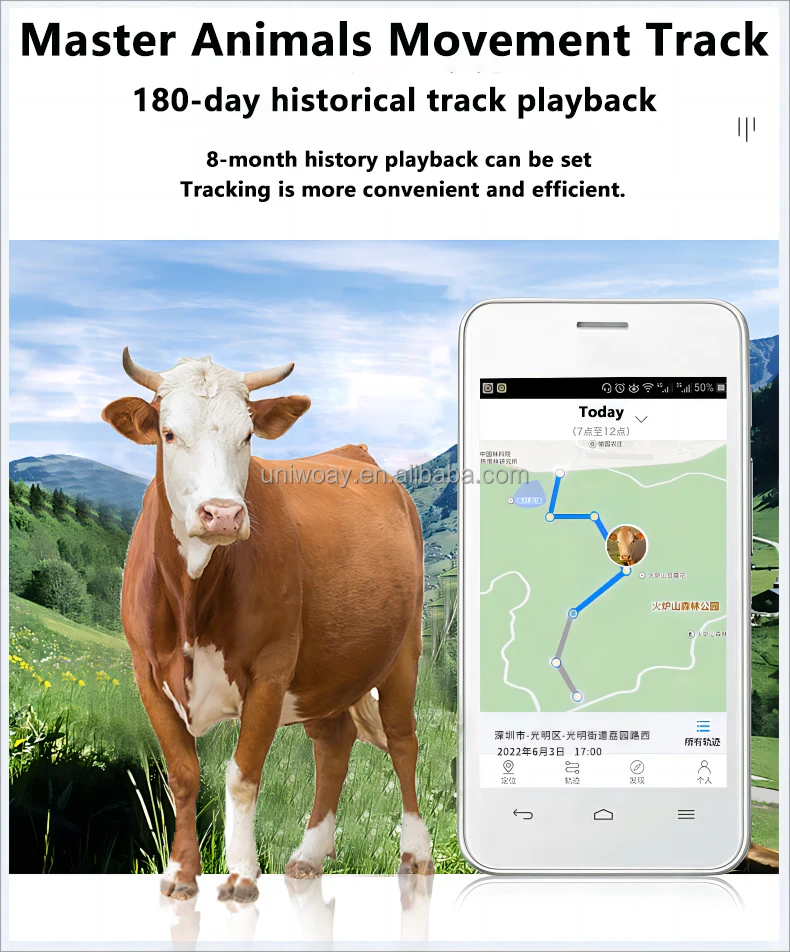 GPS Tracker Wild Animal GPS Tracking Device C035 Real Time Waterproof Goat Sheep 4G Tracking Locator