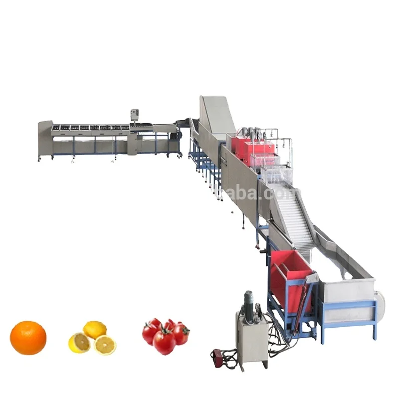 Small Fruit Grading Machine/tomato Grading Machine/cherry Tomato Grading Machine