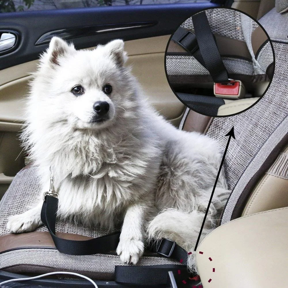 Kingtale1 Safety Harness Vehicle Stabilizer Clips Adjustable Dogs and Cats Pet Car Seat Belt Sustainable Chain Leads