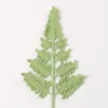Snow five ferns-light green