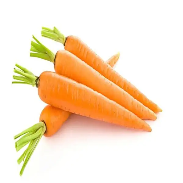 good quality fresh carrots with best price