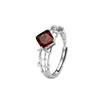 JH0385-5Garnet