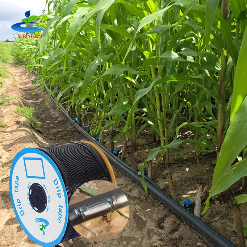 Agricultura Manguera Para Arboles Sistema De Riego Por Goteo Drip Irrigation System for 10 Acres Farm