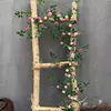 Rose vine, double pink (180 cm)