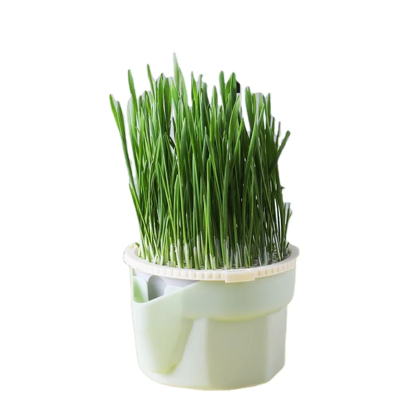 Консервированная ленивая кошачья трава без мыльного плевка сферические волосы мята кошачьи закуски оптовая