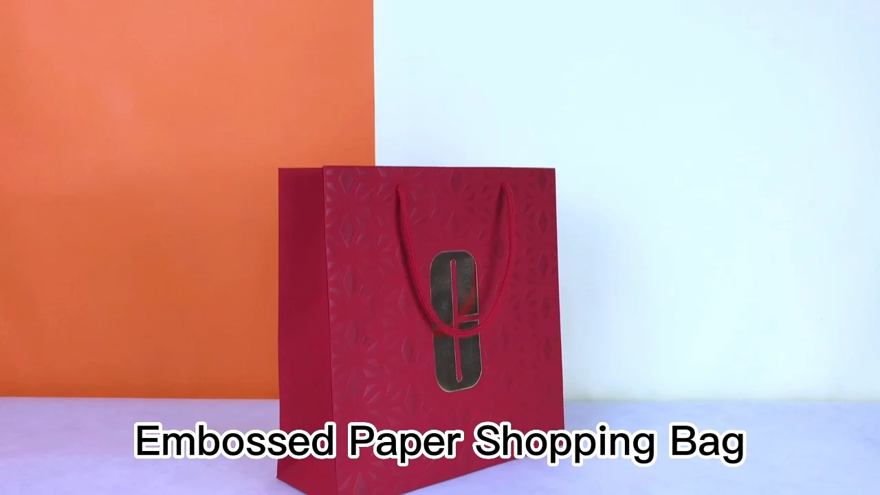 Lipack Custom Luxury Embossed Printing Clothing Retail Carry Bag Hot