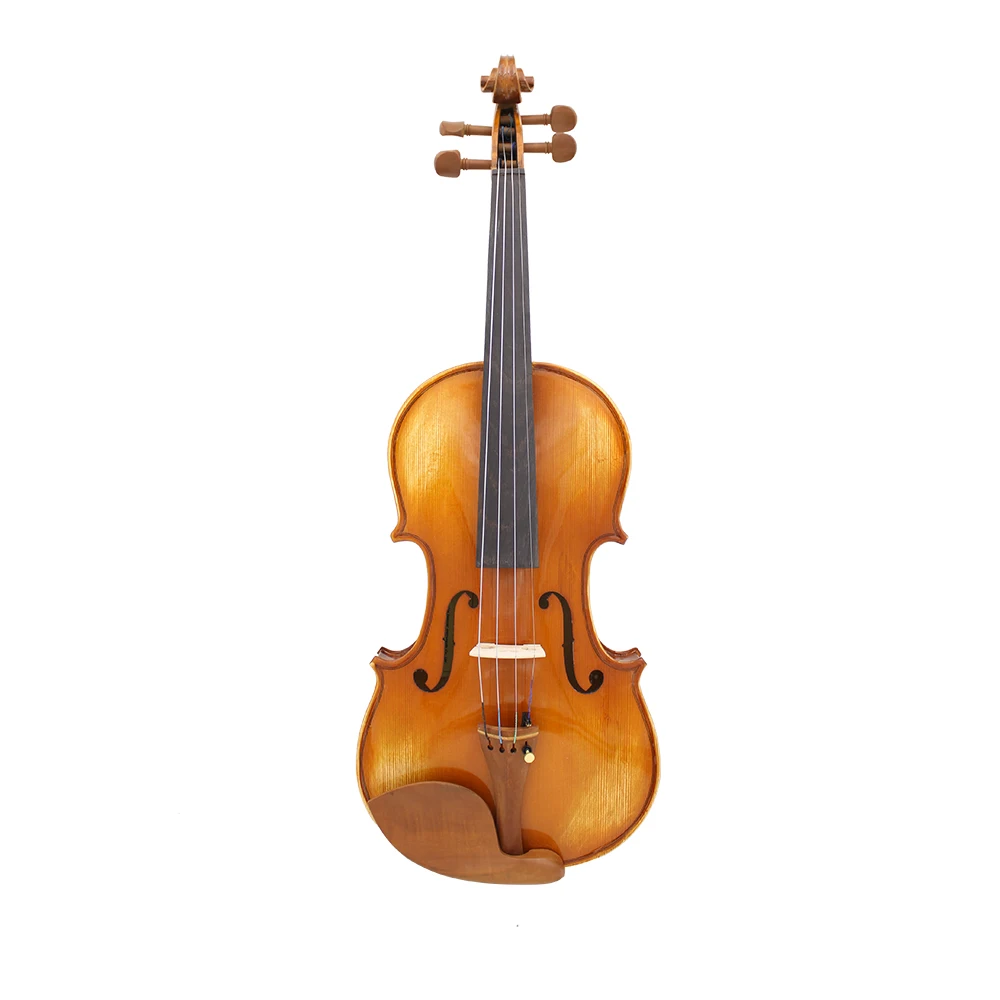 Aston Villa Violin AV-07 - High-Quality Student Instrument