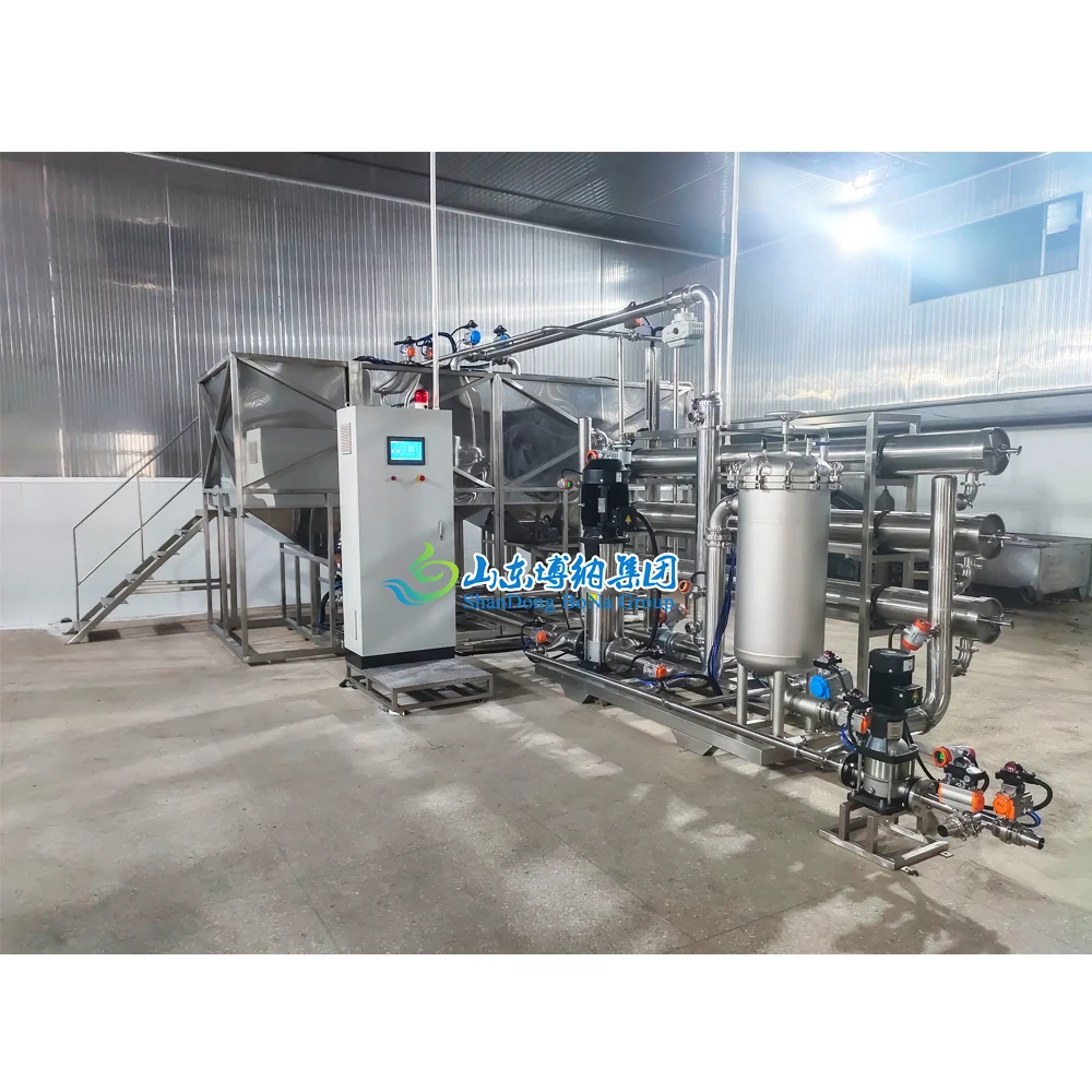 Milk Membrane Concentration Machine UF NF Filtration Membrane Concentrate System