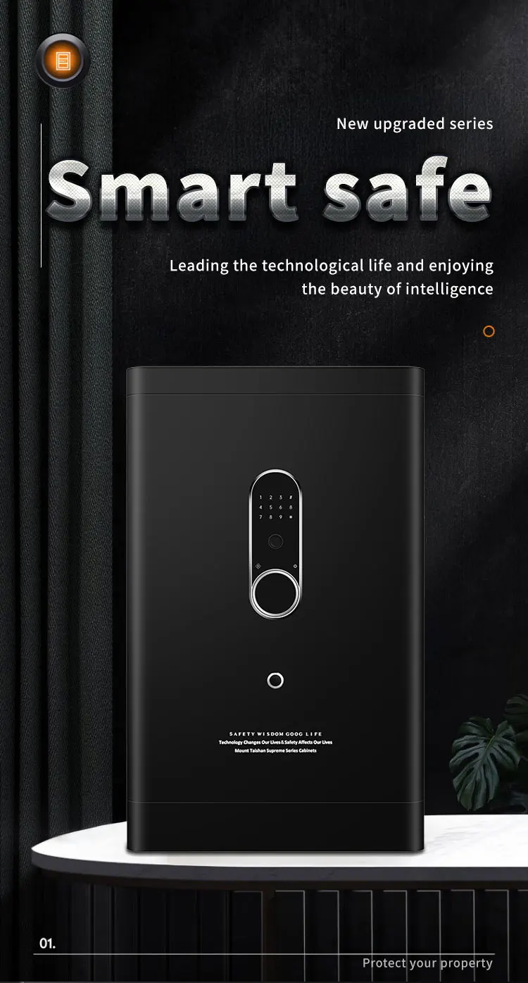 CEQSAFE Home & Office TUYA APP WiFi Password Safe with Storage Box Anti-Theft Feature details