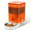 Orange Button