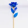 Fleur dorée colorée [Colorée