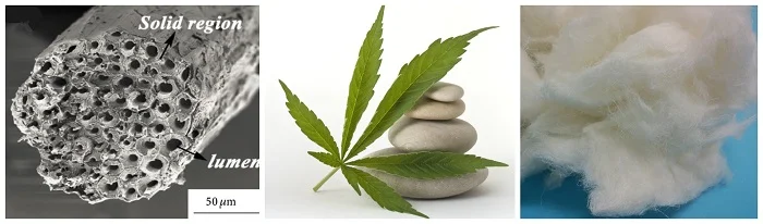 HEMP FIBER6.png