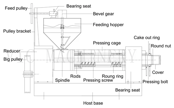 screw oil press machine.png