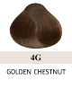4G Golden Chestnut