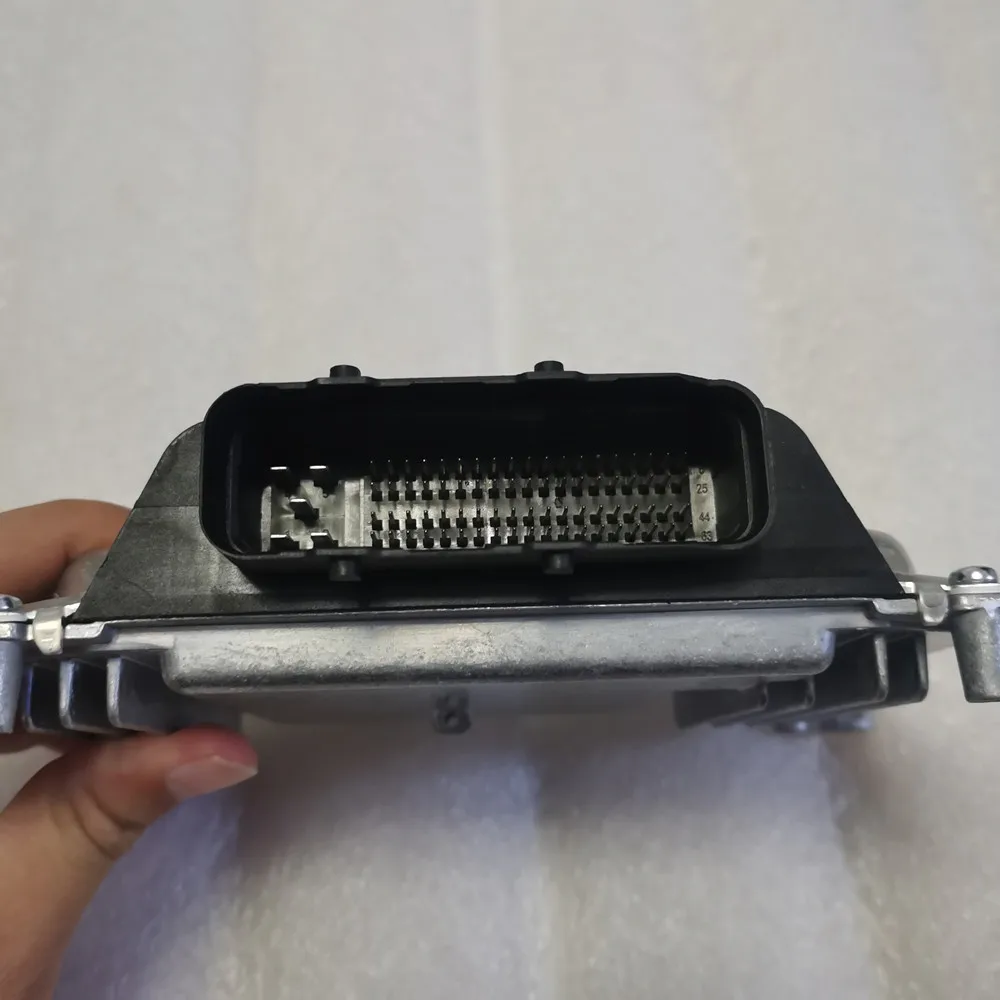 モーニング 確認用 2025 スペイン乗馬学校: ウィーンでの朝の調教現場への入場券