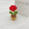 Planta de rosa roja en maceta terminada