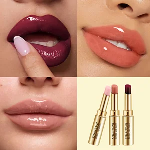 Private Label Organic Squalane Natural Vegan Tinted Lip Balm Sticks Repairs and Protects Lips Long Lasting Colour