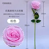 Pink single-stem large-headed rose
