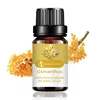 osmanthus