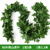 ใบไม้เลื้อยเวอร์จิเนีย 90 ใบ, 5 แถบ