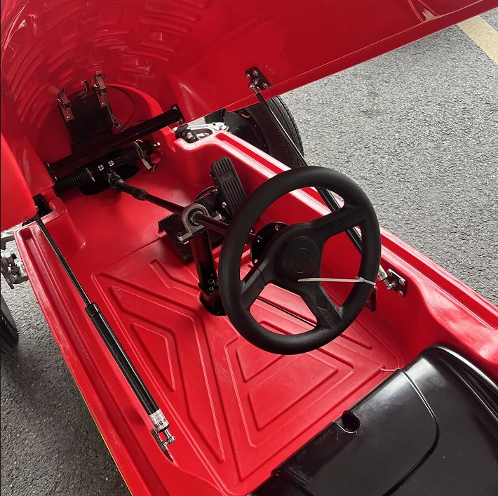 600W 48V Powerful F1 Electric Car for Children and Adult Indoor Outdoor Ride