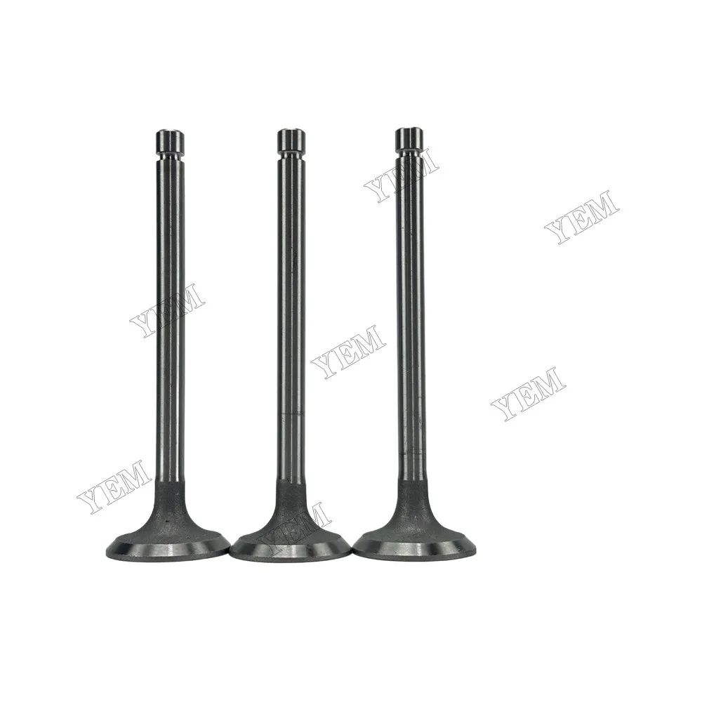 Intake Valve Fit for Yangdong Y380T Engine 2