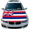 Hawaii Flag