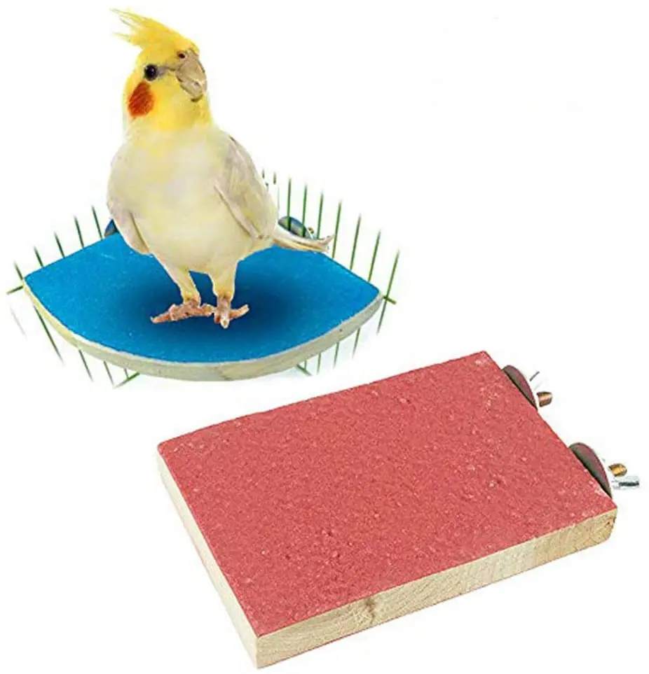 budgie platform