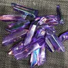 Viola