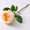 แชมเปญ