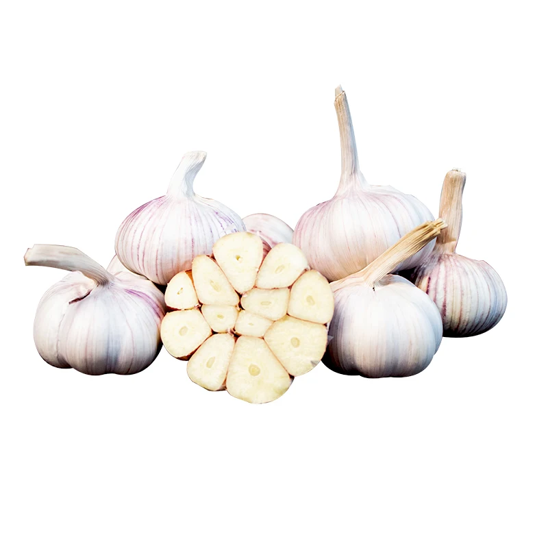 2020 new crop of fresh and high-quality chinese garlic