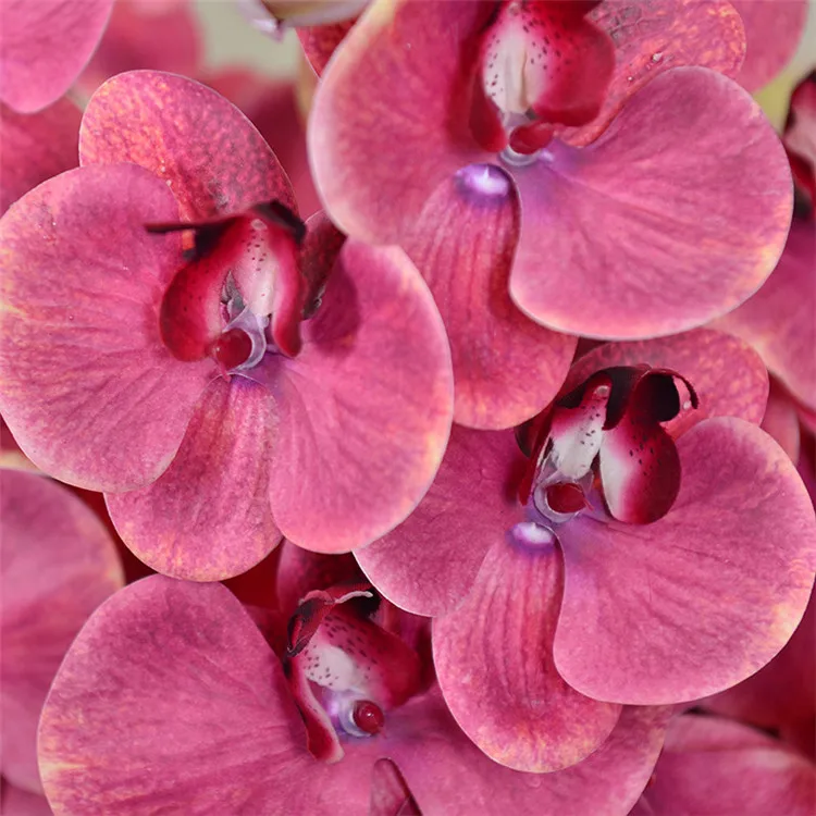 Cheap Wedding 9 Heads Real Touch Latex White Orchid Artificial For Arrangement Buy Orchid