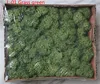 L-01 Grass green
