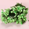 Verde, 12 ramitas