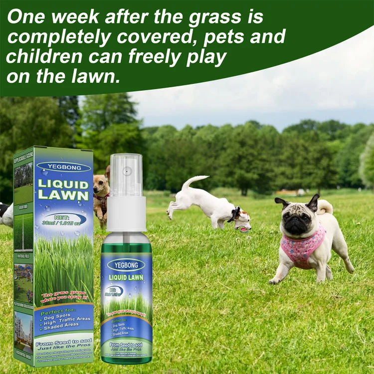 Hot Sale Green Grass Lawn Spray Household Seeding System Liquid Spray