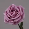 สีม่วงอมเทา