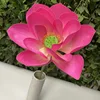 Flor grande de color rosa intenso