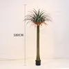 Árbol de sangre de dragón (180 cm, viene con base negra)