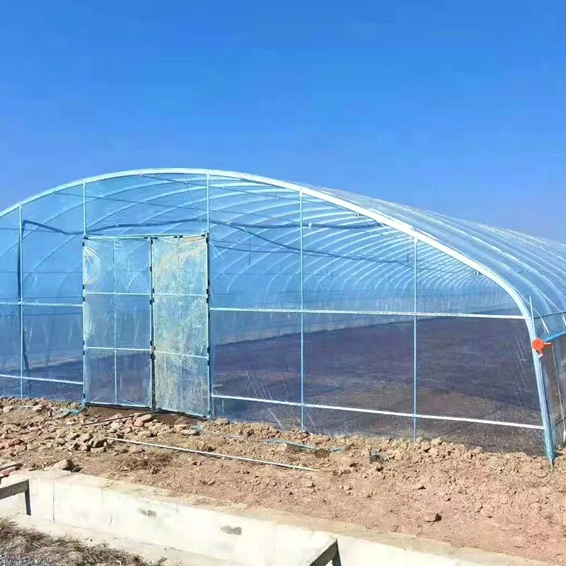 High Quality Galvanized Structure Plastic Tunnel House China Single Span Low Tunnel Greenhouse For Sale