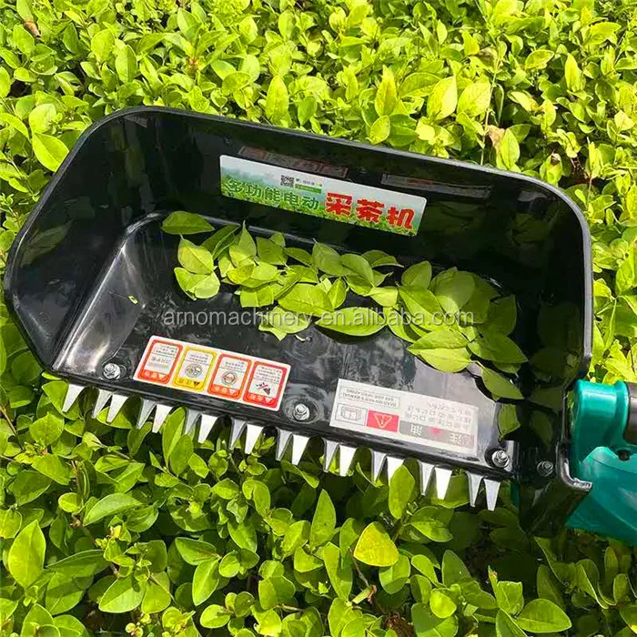 Tea plucking machine (19).jpg