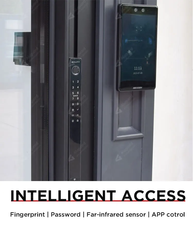 Minimalist House Automatic Sliding Door System / Double Wheels Thermal