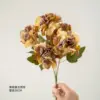 Yellow-brown retro 5-pronged hydrangea