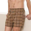 Plaid caqui